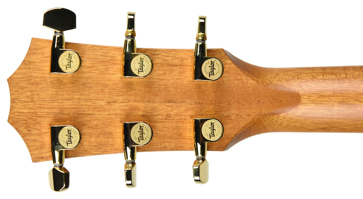 USED Taylor 814ce in Natural with Cedar 1111183006