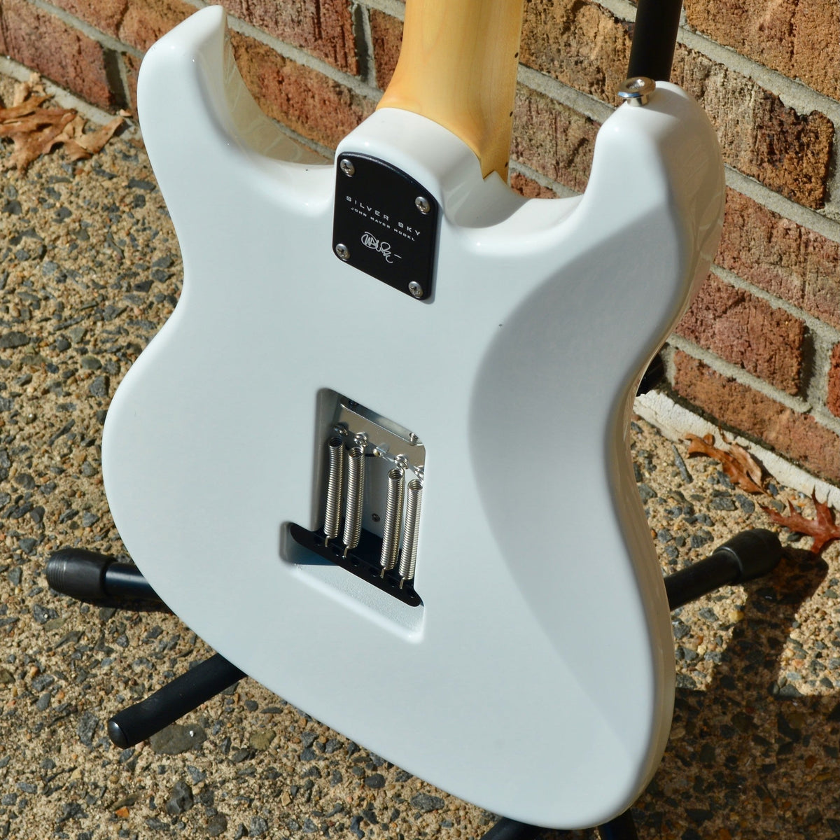 PRS Silver Sky Frost (Maple)