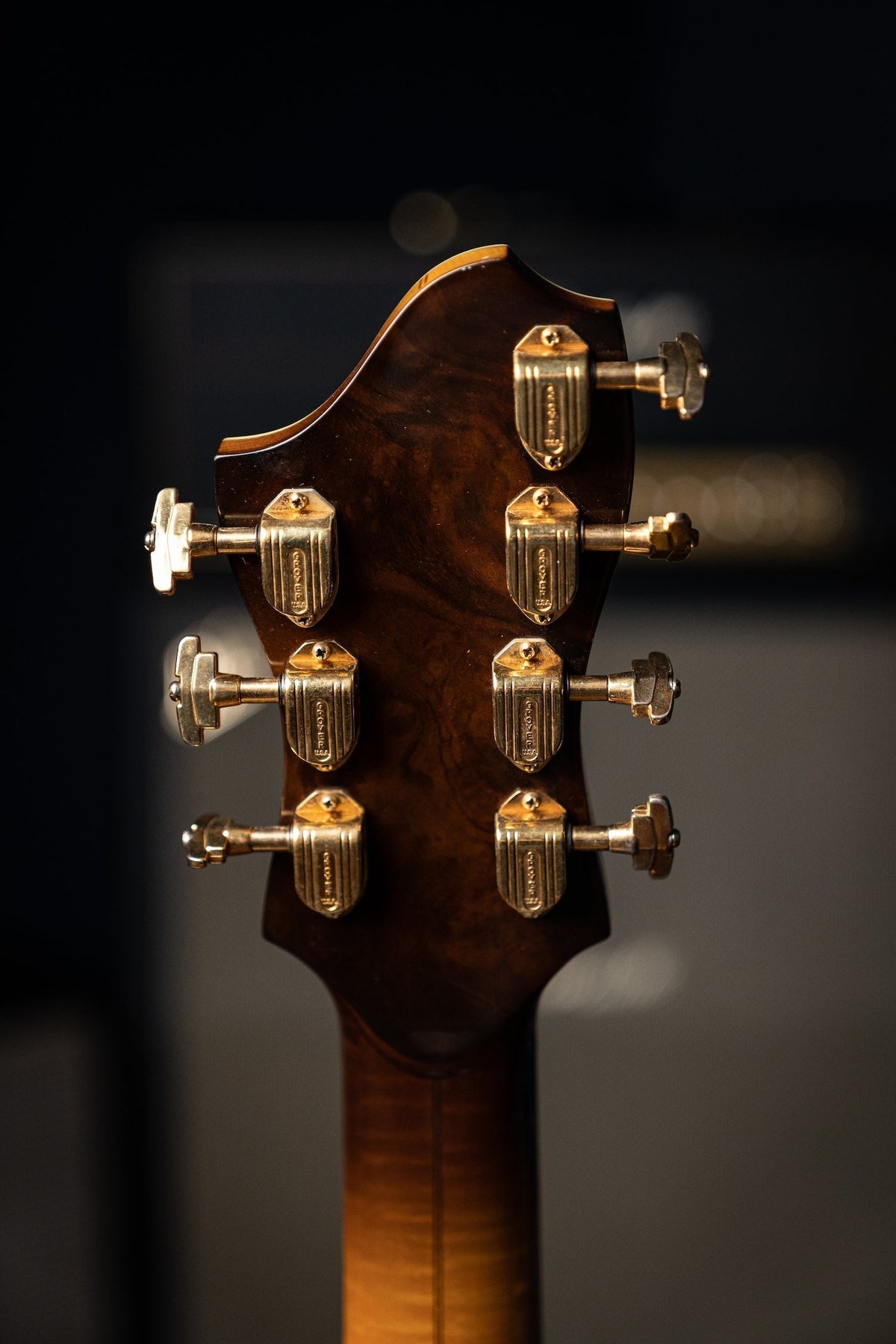 1981 Benedetto Custom Model 7 String Electric Guitar - Sunburst