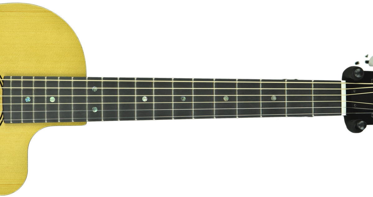 Rainsong V-PA1100NS Acoustic Hybrid Guitar in Natural 19772
