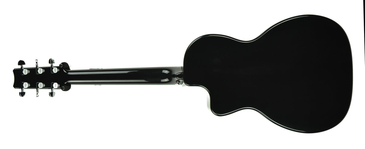 Rainsong V-PA1100NS Acoustic Hybrid Guitar in Natural 19772