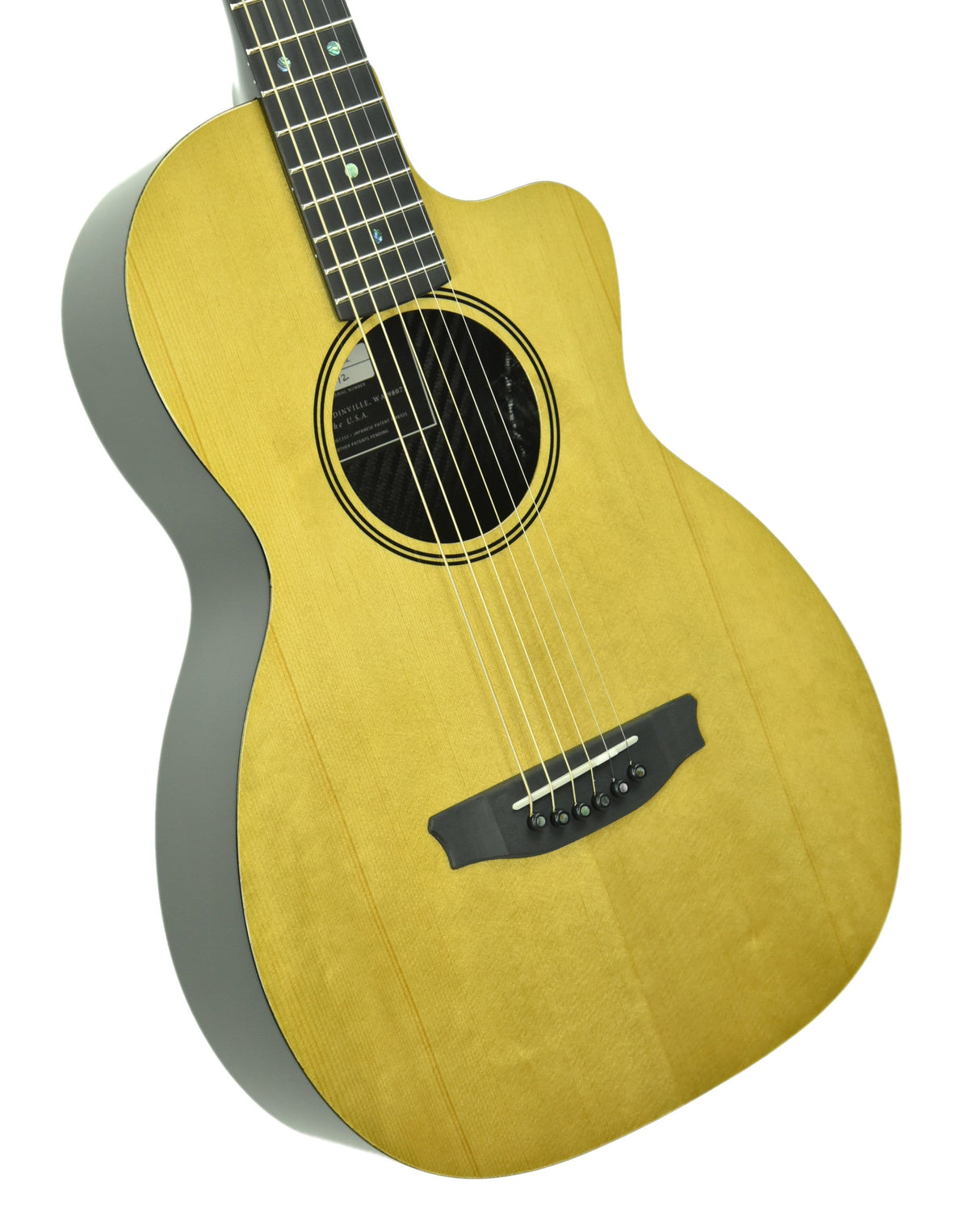 Rainsong V-PA1100NS Acoustic Hybrid Guitar in Natural 19772