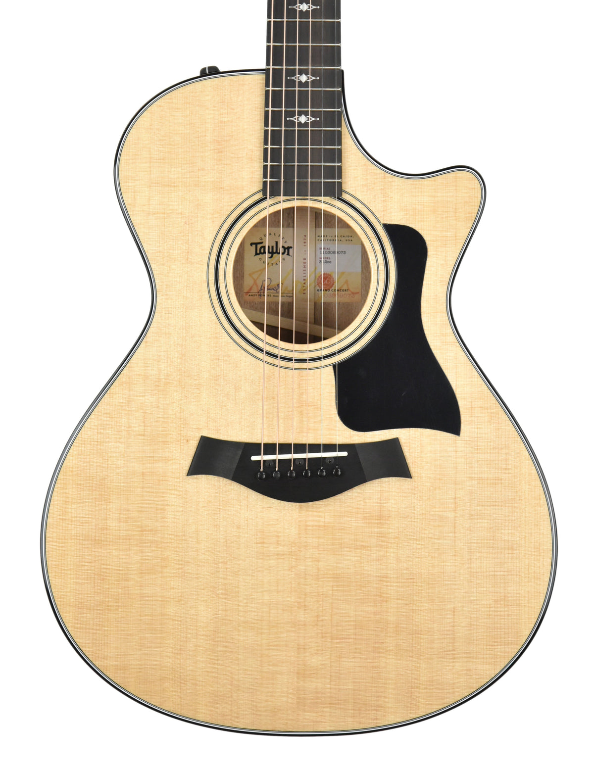 Taylor 312ce with V Class Bracing 1103089073