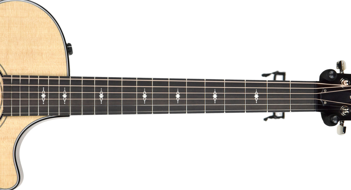Taylor 312ce with V Class Bracing 1103089073