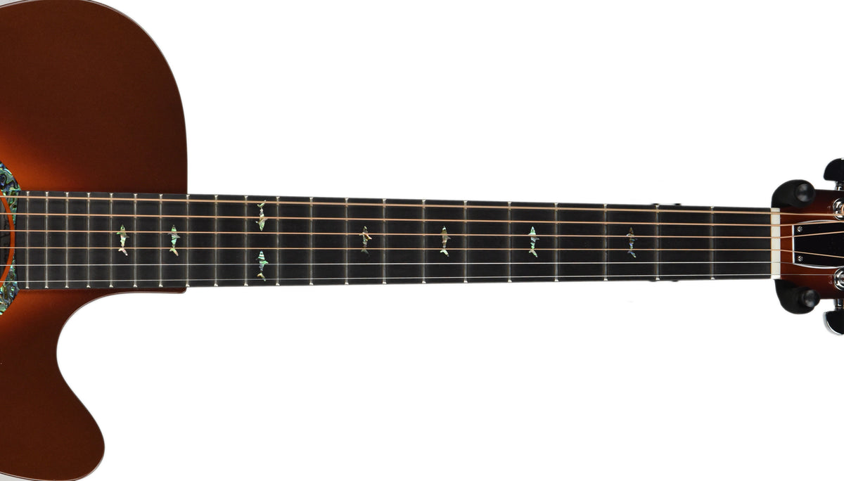 Used Rainsong WS1000N2T in Copperburst w/OHSC 17507