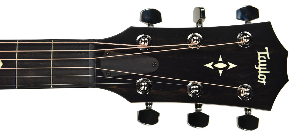 Taylor 517e Builder's Edition V-Class Bracing 1103079030