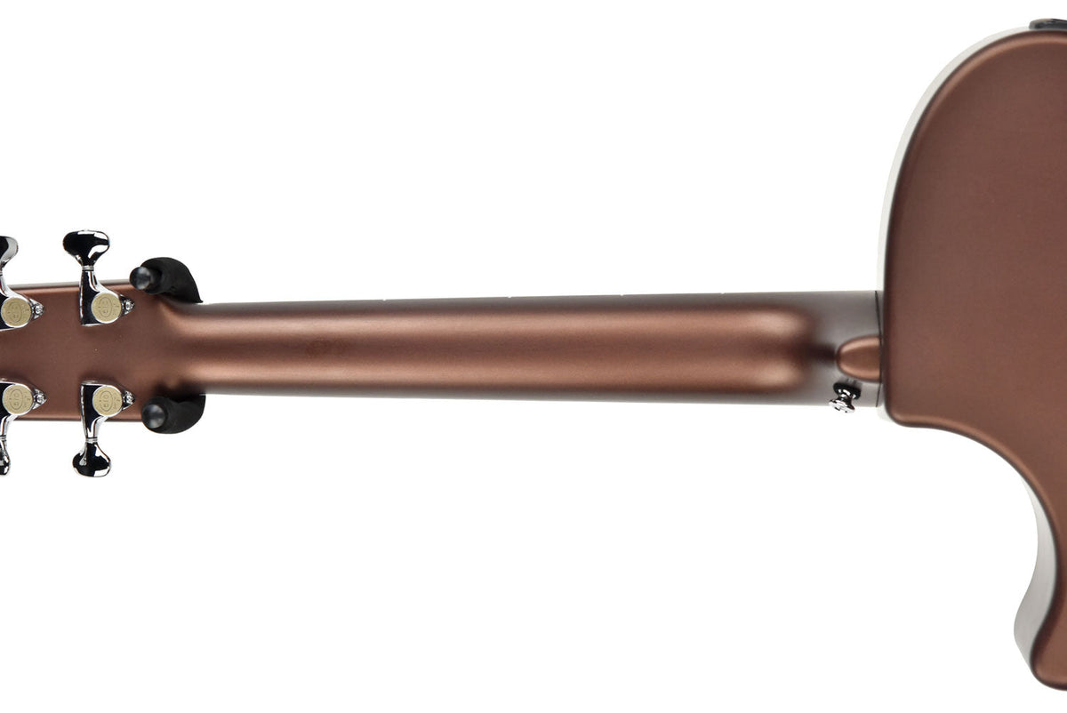 Rainsong Al Petteway Special Edition Carbon Fiber Acoustic Electric 19320