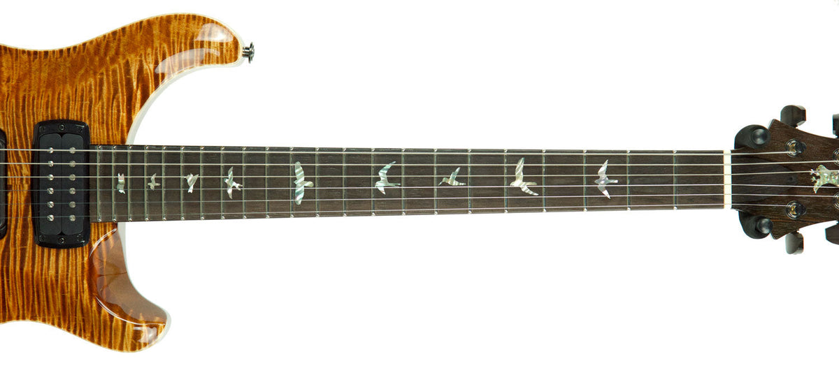 PRS Private Stock Modern Eagle V Limited Run 19288268