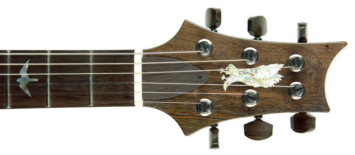 PRS Private Stock Modern Eagle V Limited Run 19288268
