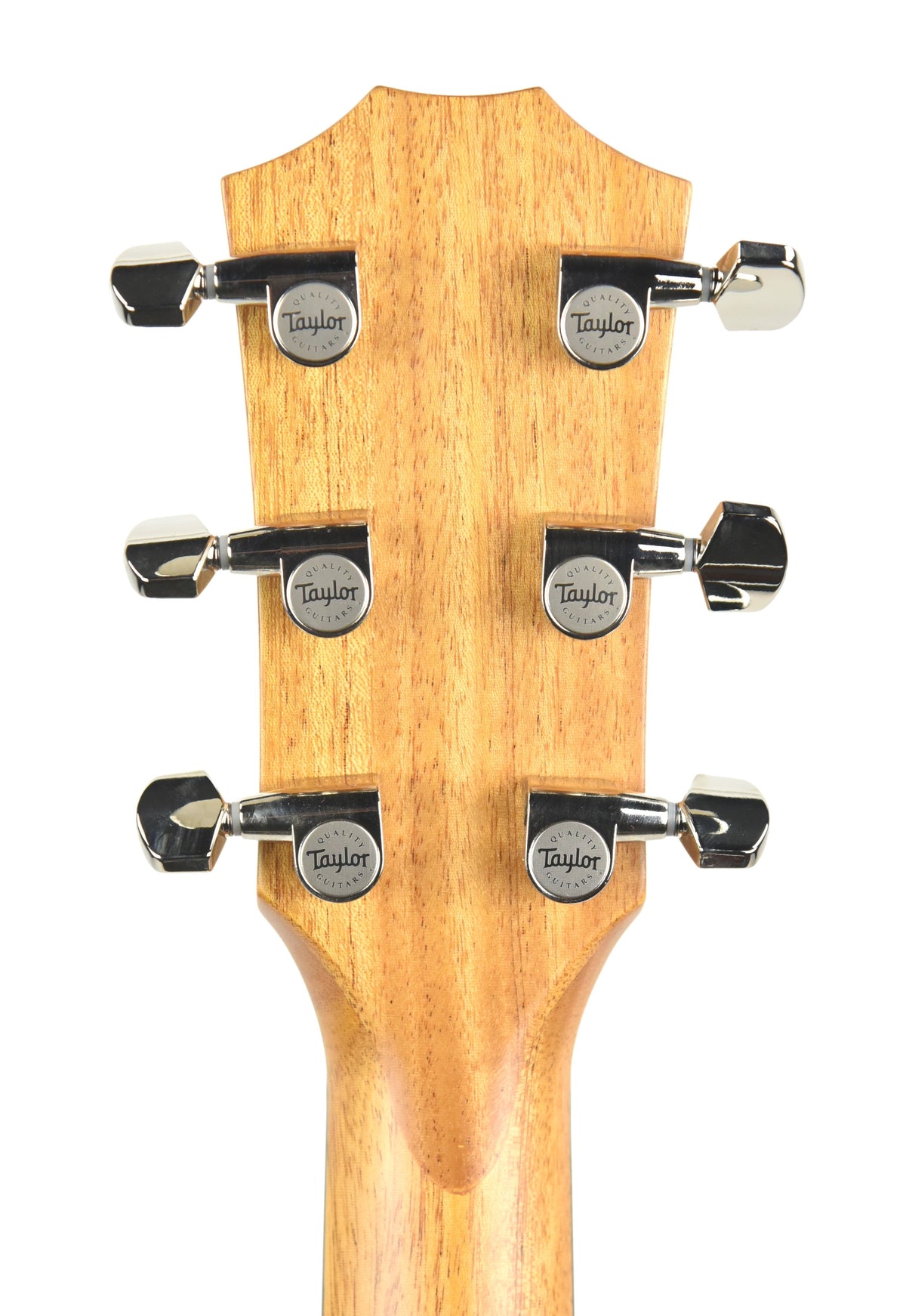 Taylor 414ce-R Acoustic Guitar with V Class Bracing 1106268081