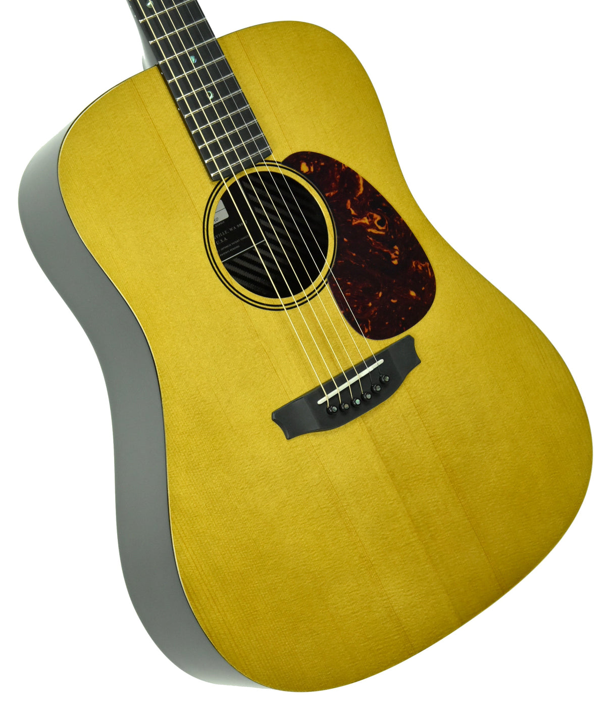 RainSong Vintage Series Acoustic Guitar V-DR1100N2 19640