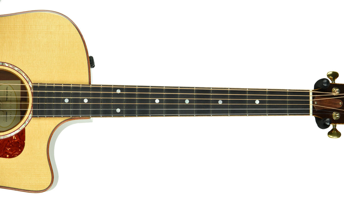 Used Taylor Custom DN Brazilian Rosewood in Natural 20090413113