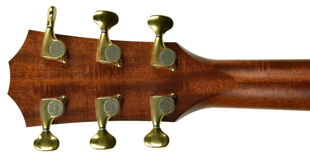 Used Taylor Custom DN Brazilian Rosewood in Natural 20090413113