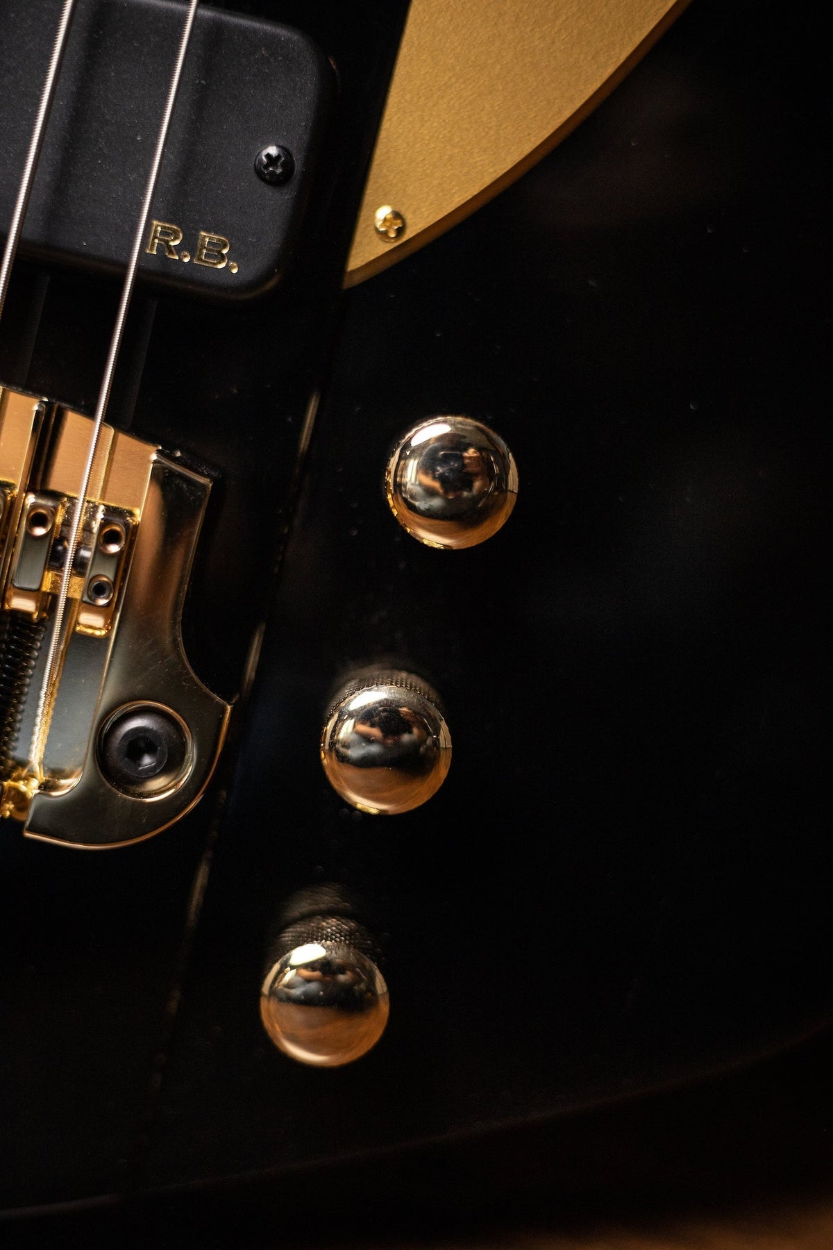 Gibson Rex Brown Thunderbird Bass - Ebony