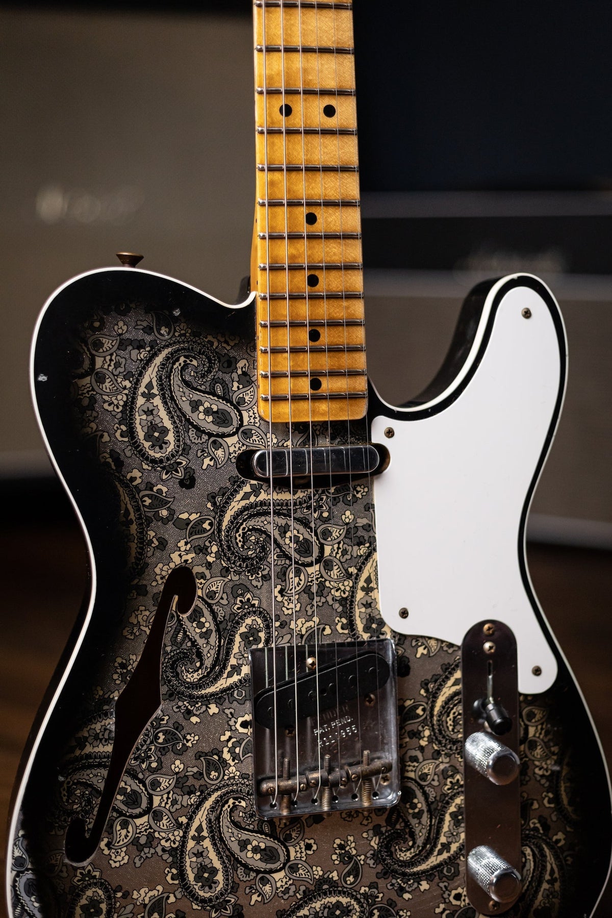 Fender Custom Shop LTD Double Esquire Thinline Custom Relic Aged Electric Guitar - Black Paisley