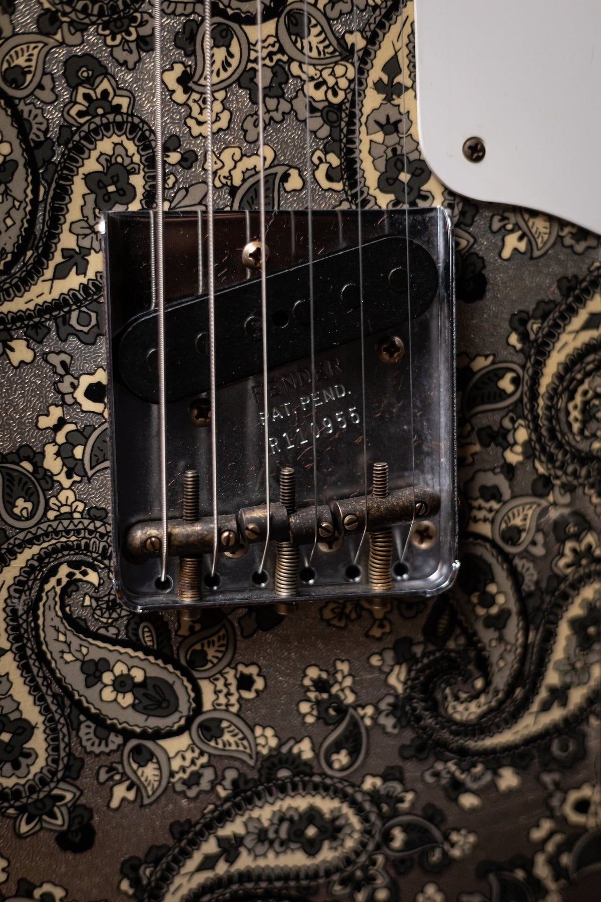 Fender Custom Shop LTD Double Esquire Thinline Custom Relic Aged Electric Guitar - Black Paisley