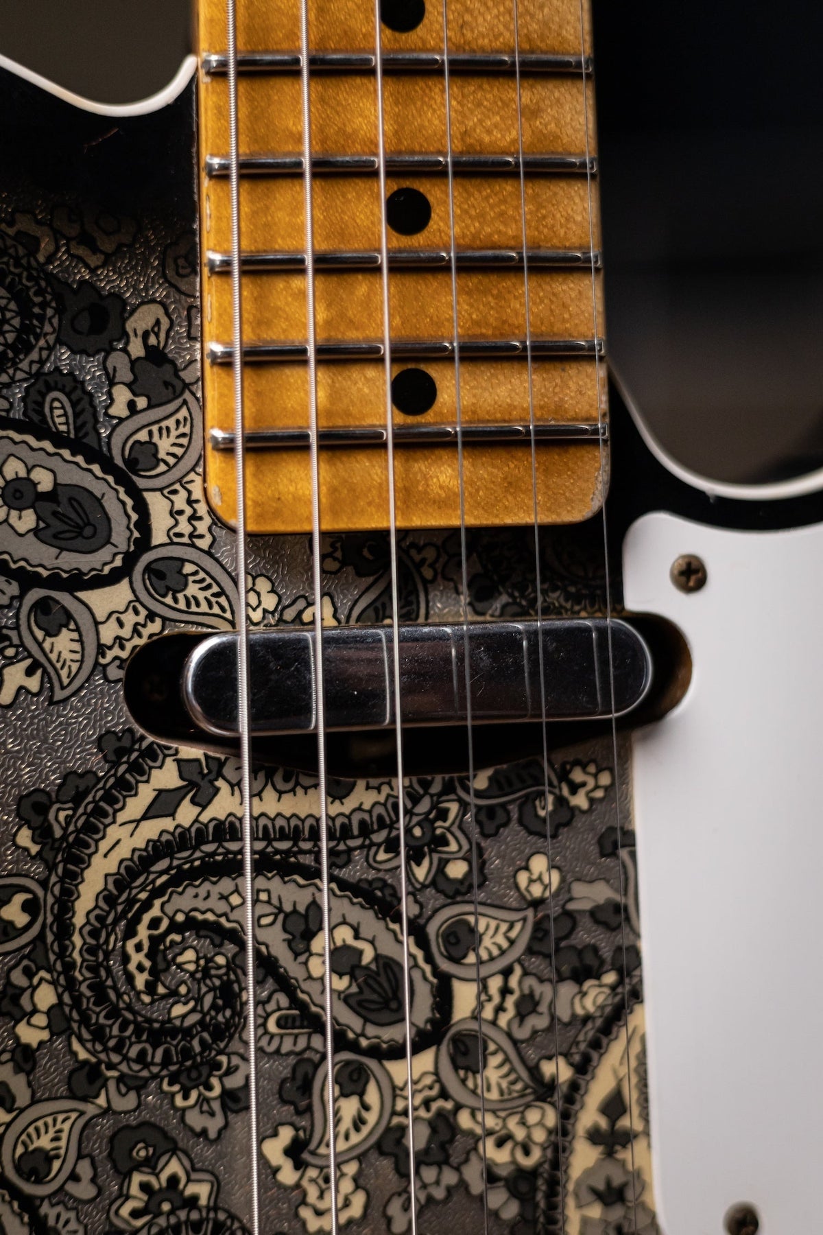 Fender Custom Shop LTD Double Esquire Thinline Custom Relic Aged Electric Guitar - Black Paisley