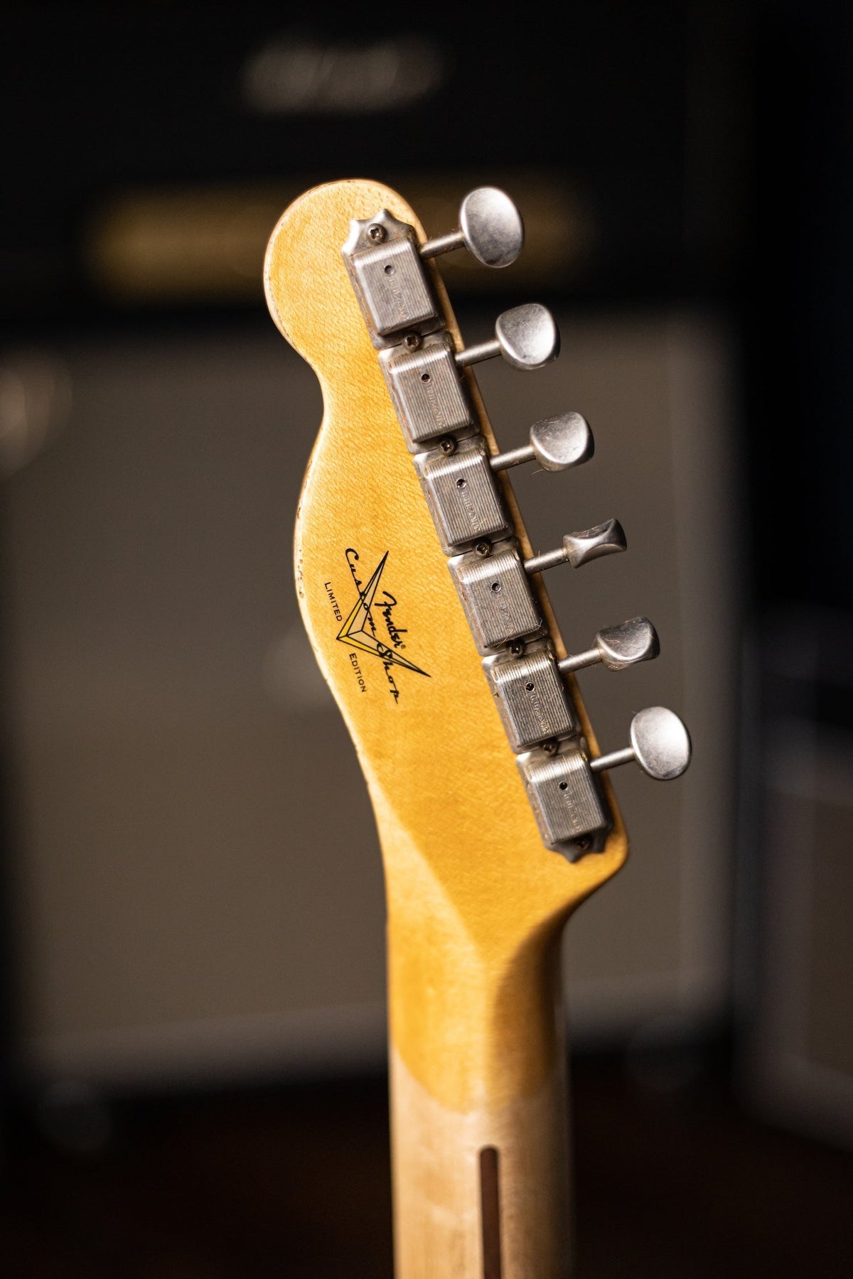 Fender Custom Shop LTD Double Esquire Thinline Custom Relic Aged Electric Guitar - Black Paisley