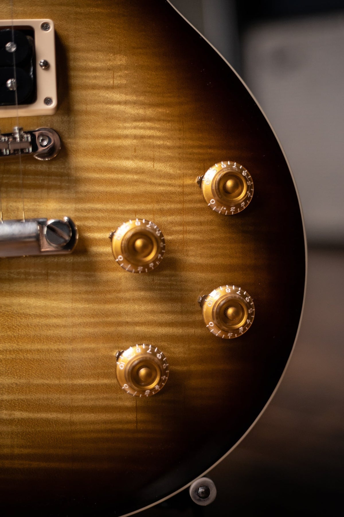Gibson Slash Les Paul Electric Guitar - November Burst