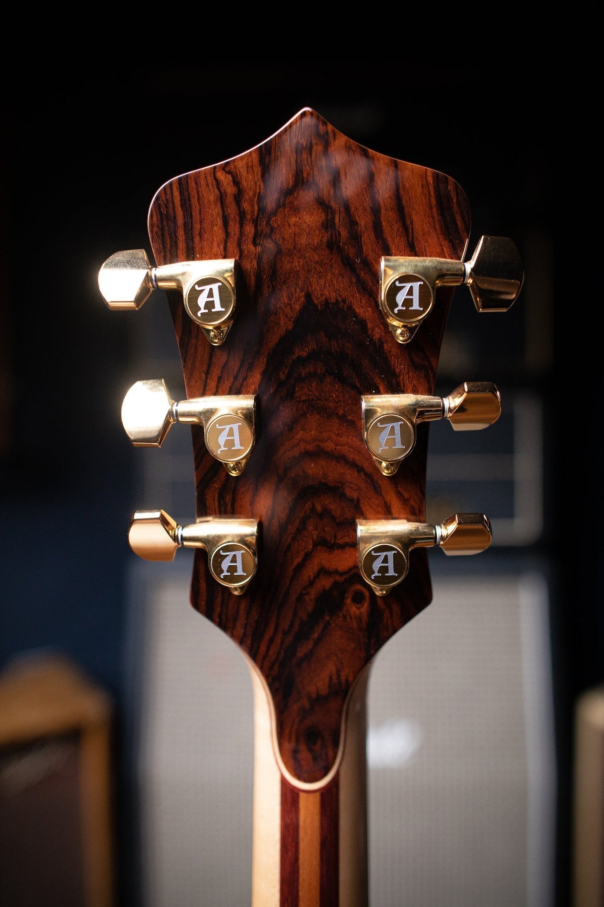 Used Alembic Jerry Garcia Tribute Electric Guitar - Natural