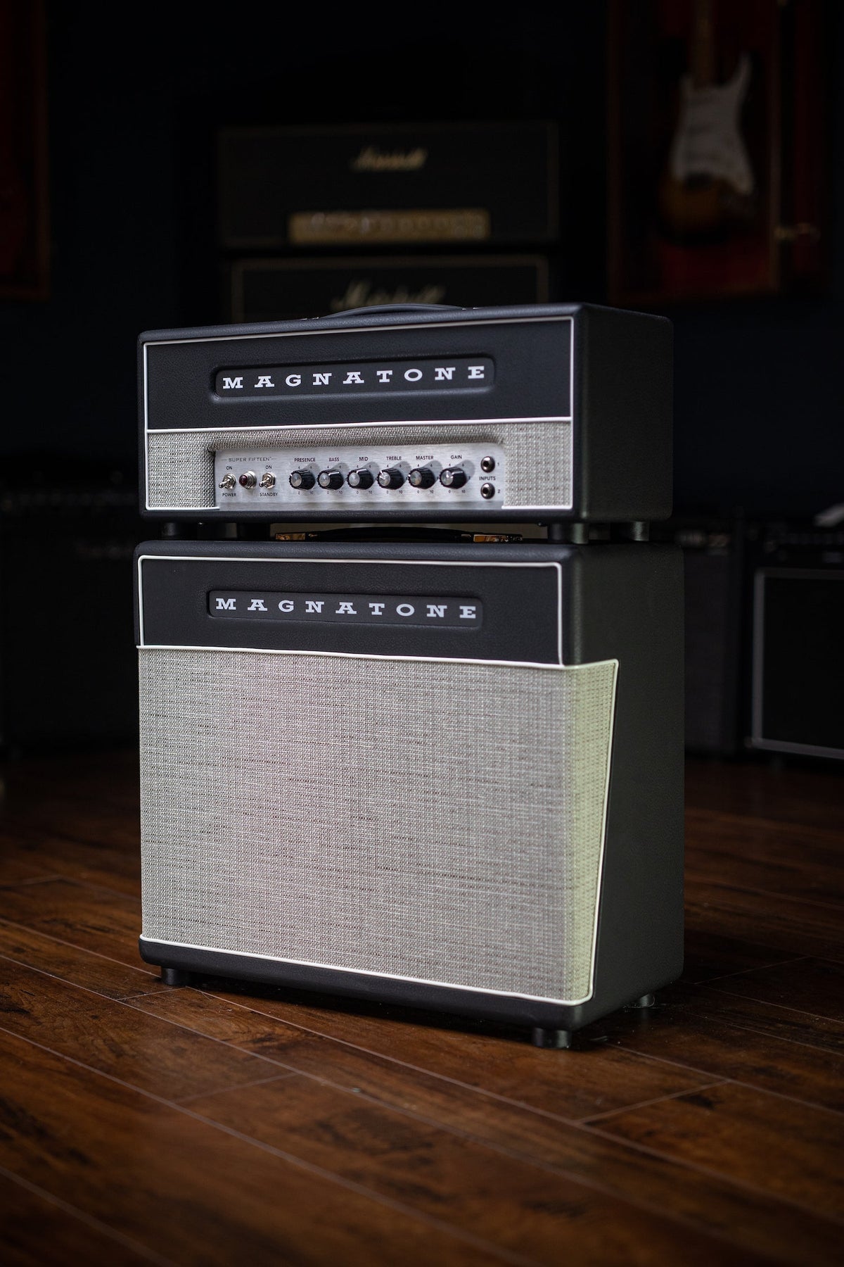 Magnatone Super Fifteen Tube Head Amp