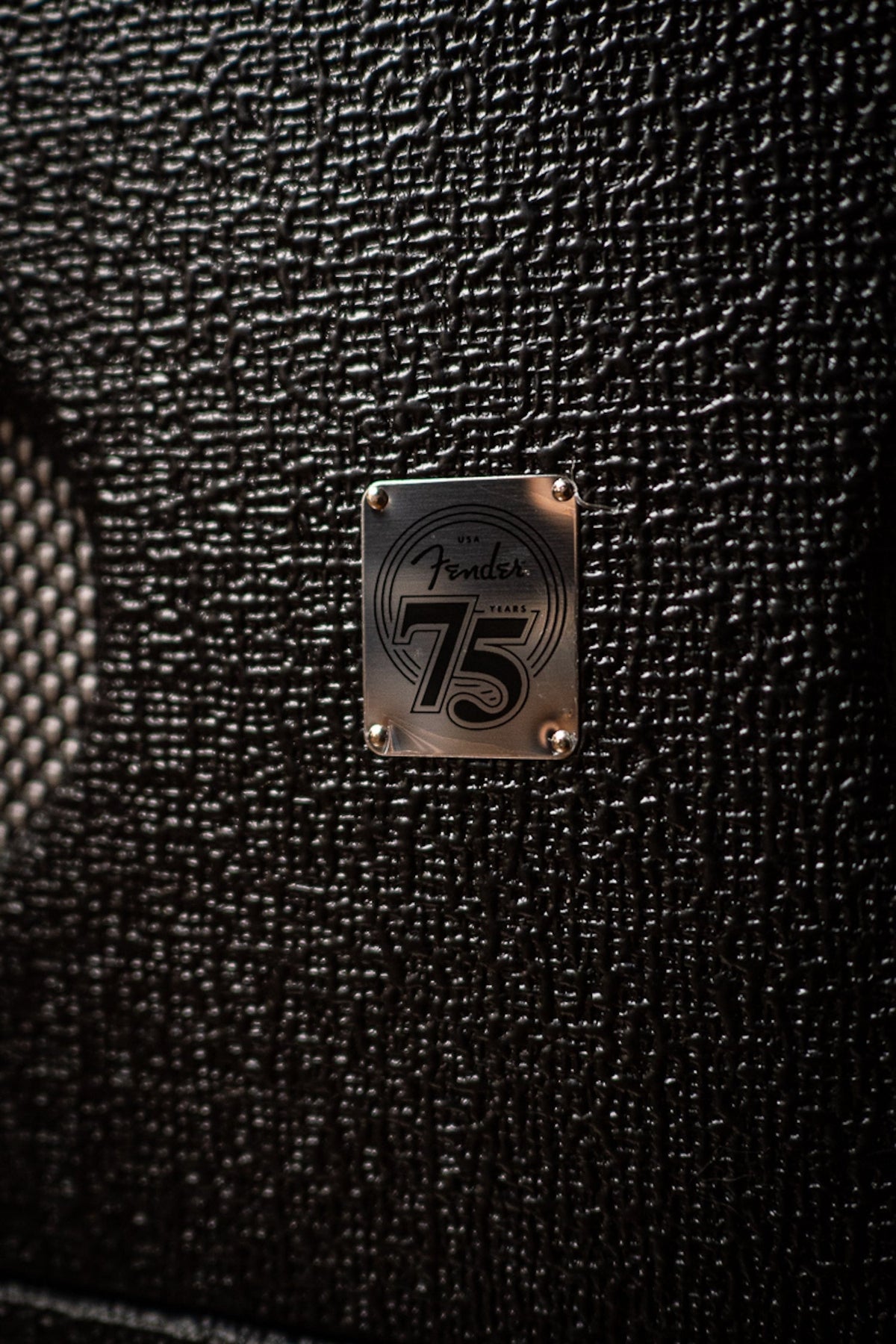 Fender Bassbreaker 30R 120V Combo Amplifier
