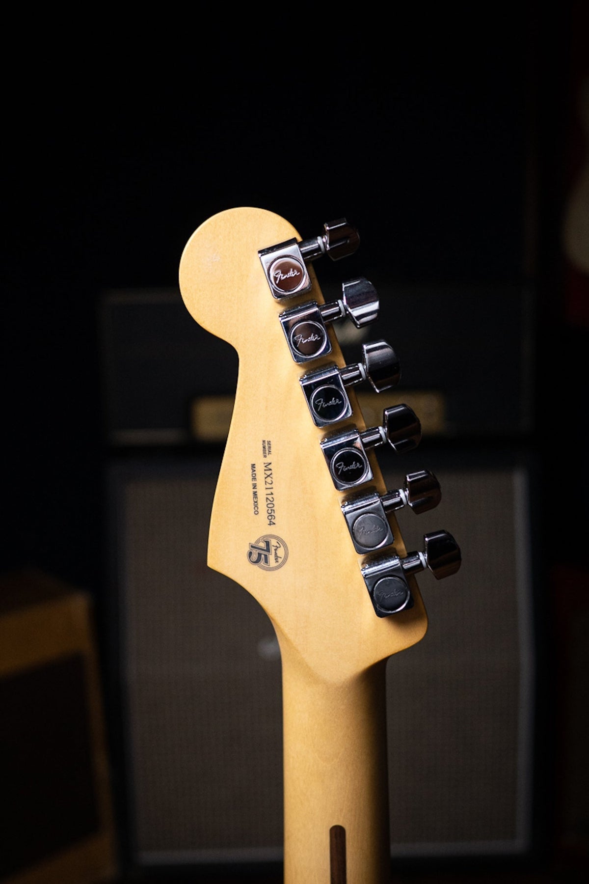 Fender Player Stratocaster Electric Guitar - Black