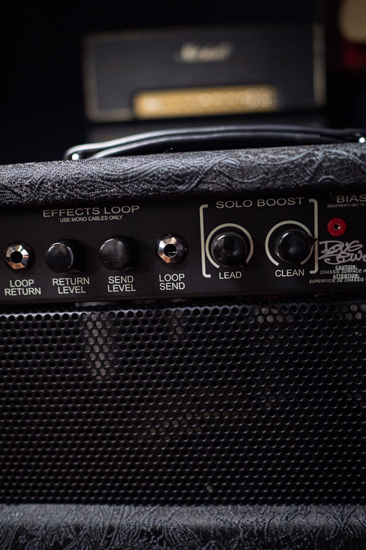 2019 PRS LTD Custom 20 1x12 Combo Amp - Custom Black Floral