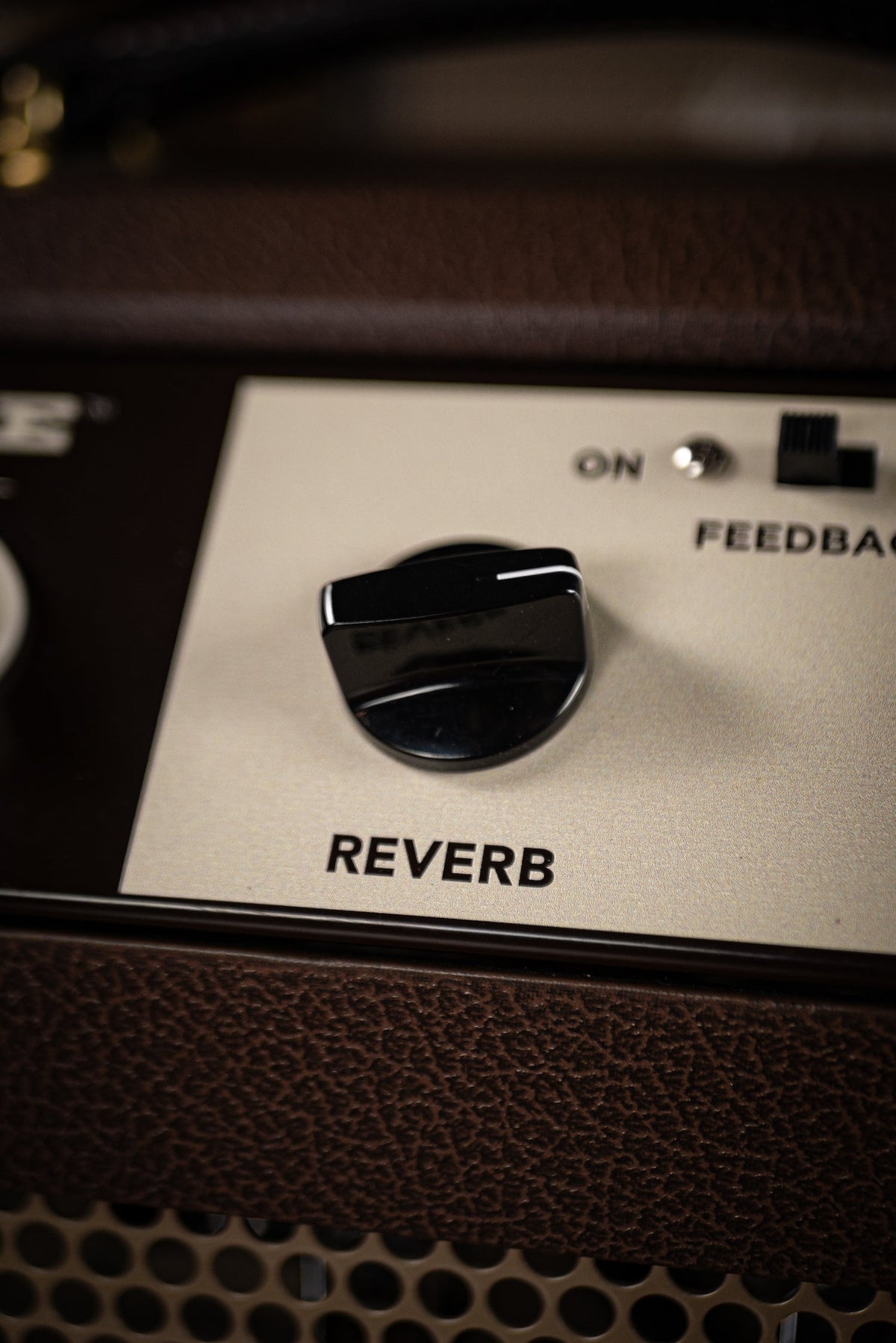 Magnatone Varsity Reverb 1x12" Combo Amp