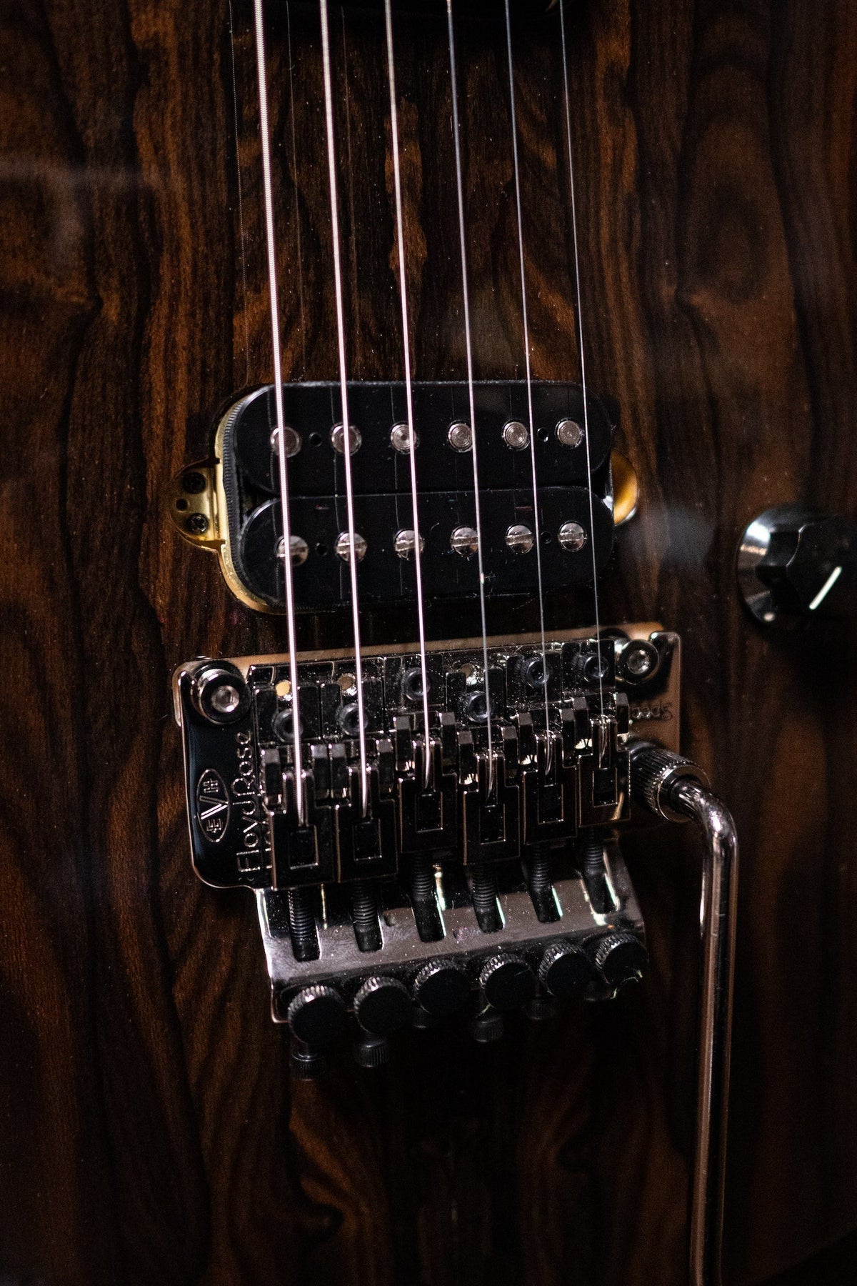 EVH® Wolfgang® WG Standard Exotic Ziricote Electric Gutiar - Natural