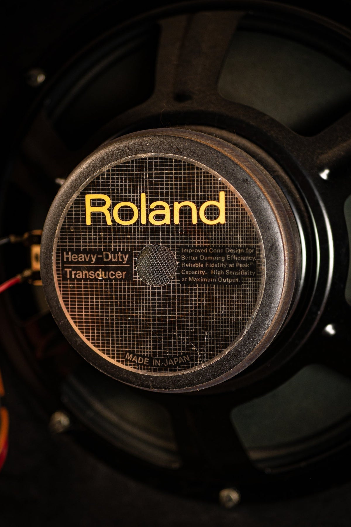 1984 Roland Jazz Chorus 120 2x12" Combo Amp