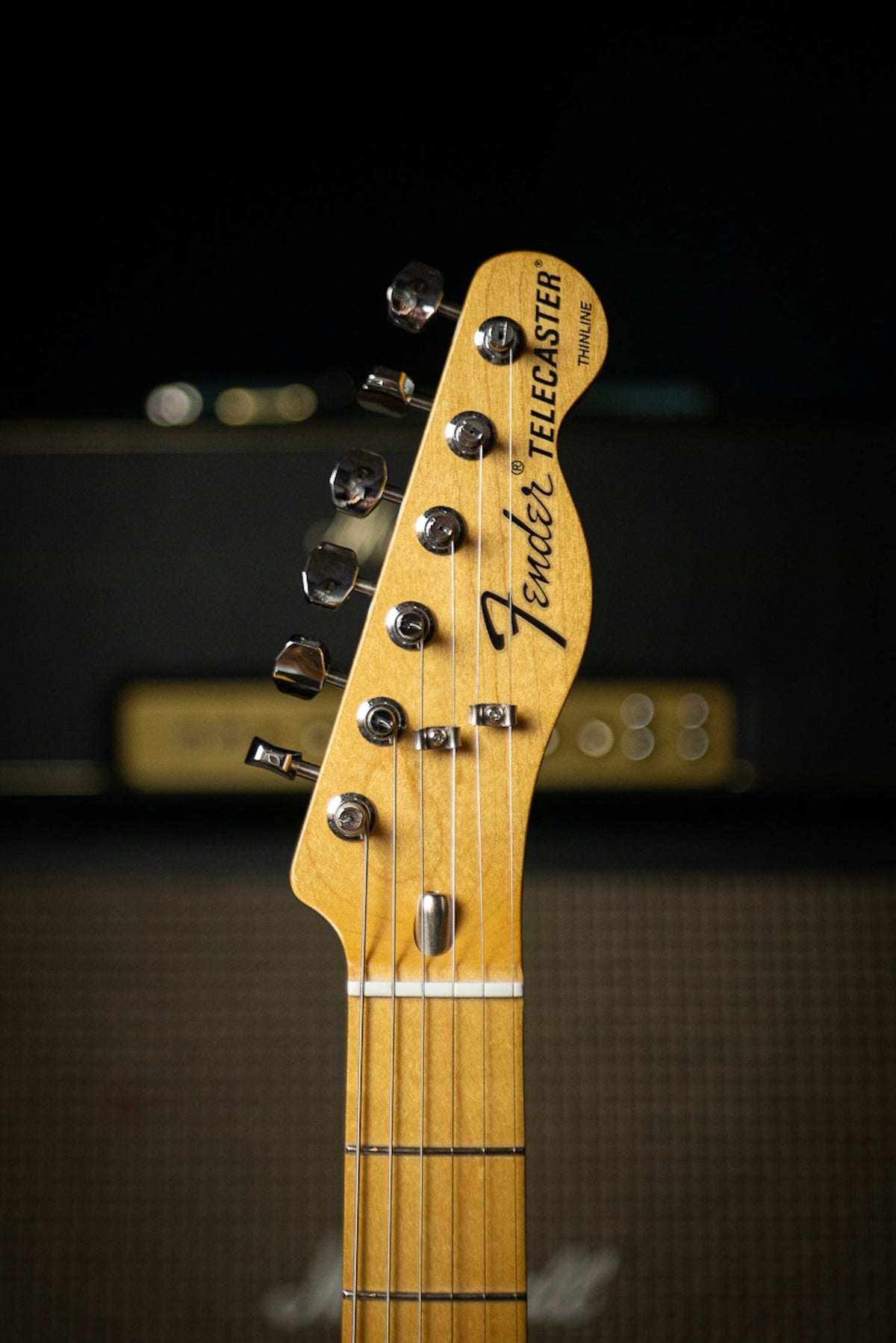 Fender Vintera '70s Telecaster Thinline Electric Guitar - CAR