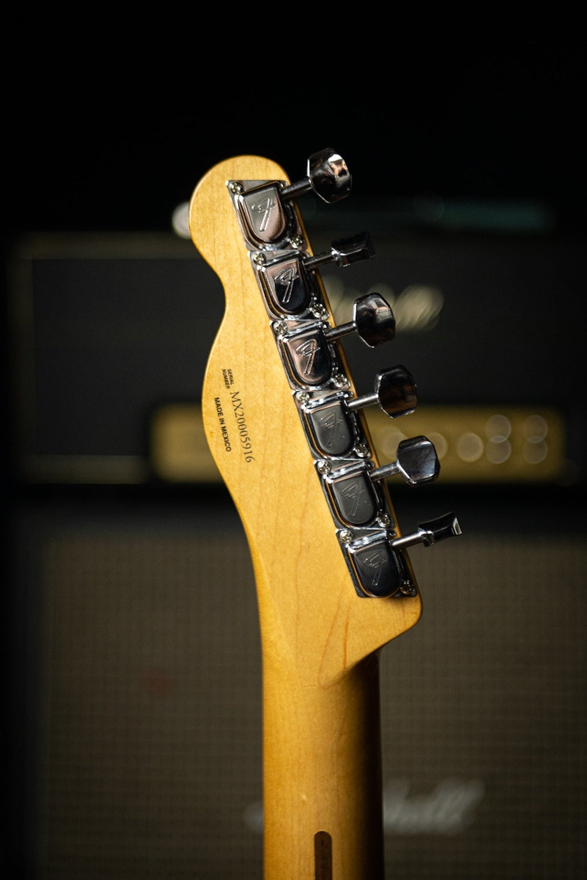 Fender Vintera '70s Telecaster Thinline Electric Guitar - CAR