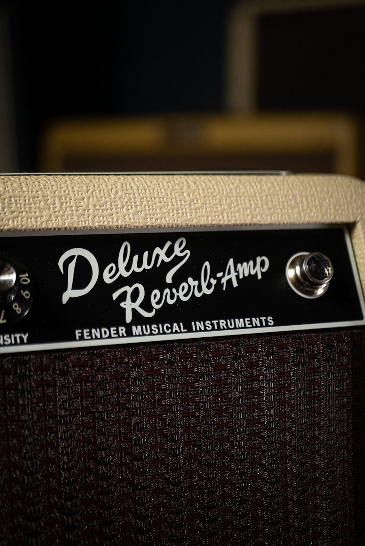 Fender Tone Master Deluxe Reverb Combo Amp - Blonde