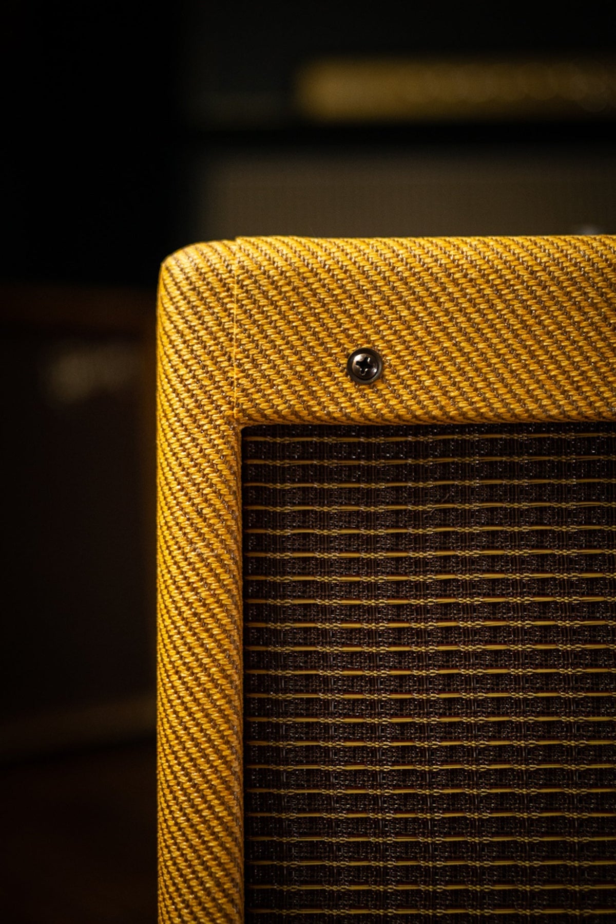 Fender Blues Junior Combo Amp - Lacquered Tweed