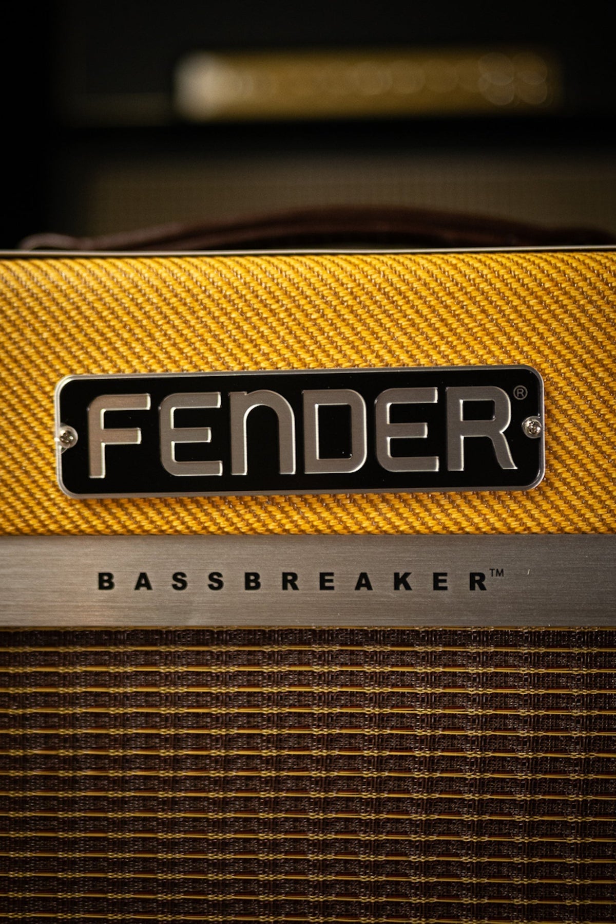 Fender 2020 Limited Edition Bassbreaker B30R Combo Amp - Lacquered Tweed