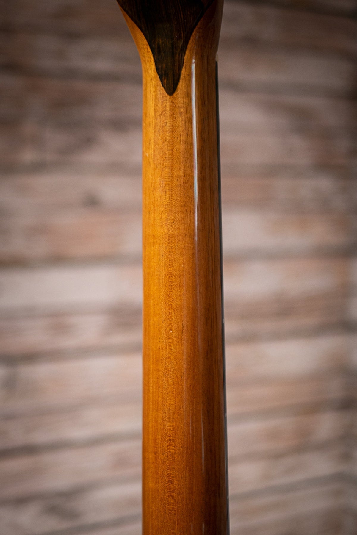 2019 Goodman Triple 0 Acoustic Guitar