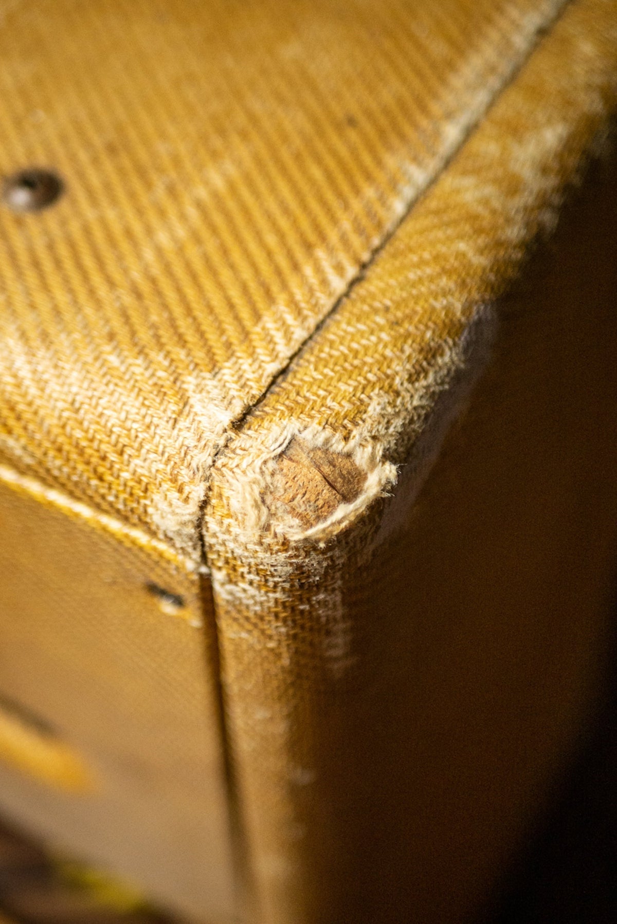 1953 Fender Pro Amp Combo Amp