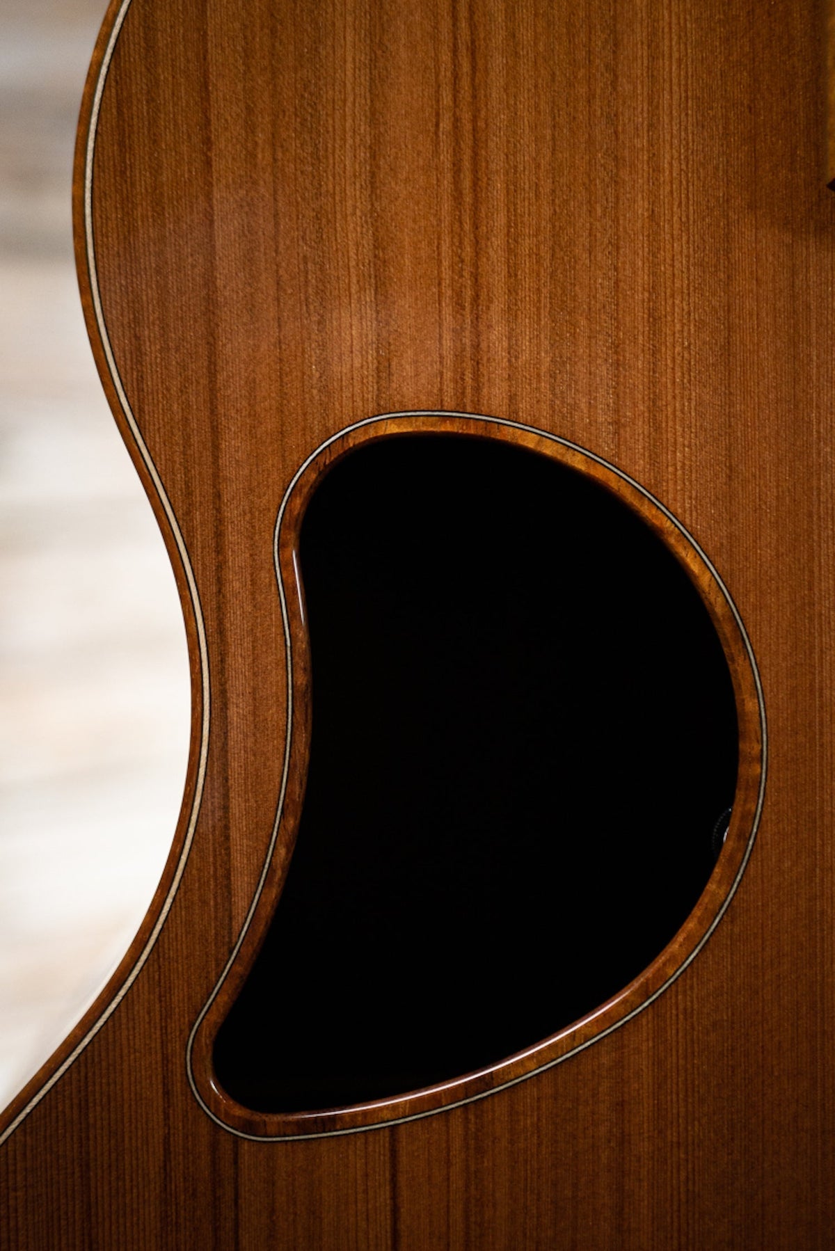 McPherson MG 4.5 Acoustic-Electric Guitar - East Indian Rosewood/California Redwood