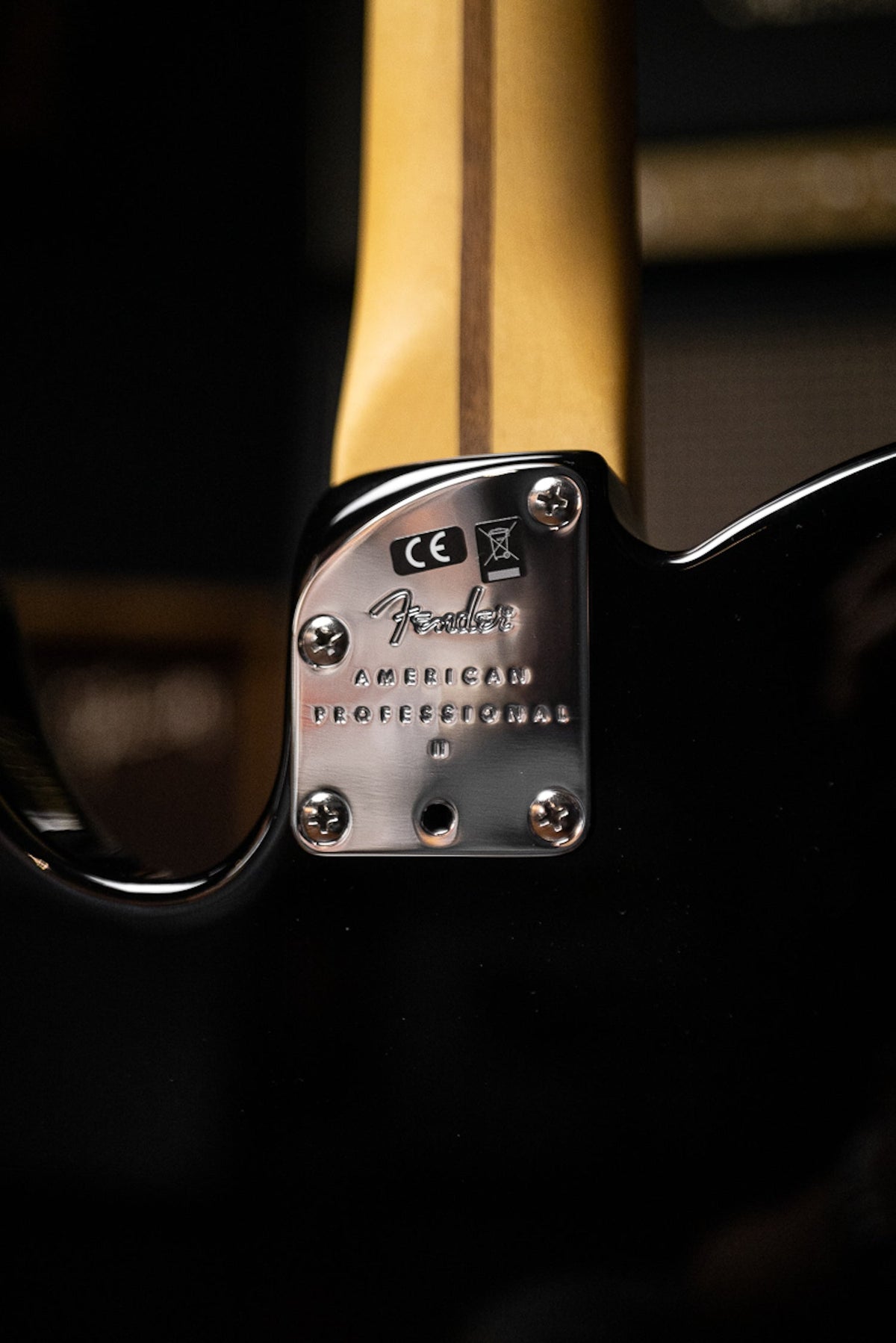 Fender American Professional II Telecaster Electric Guitar - Black