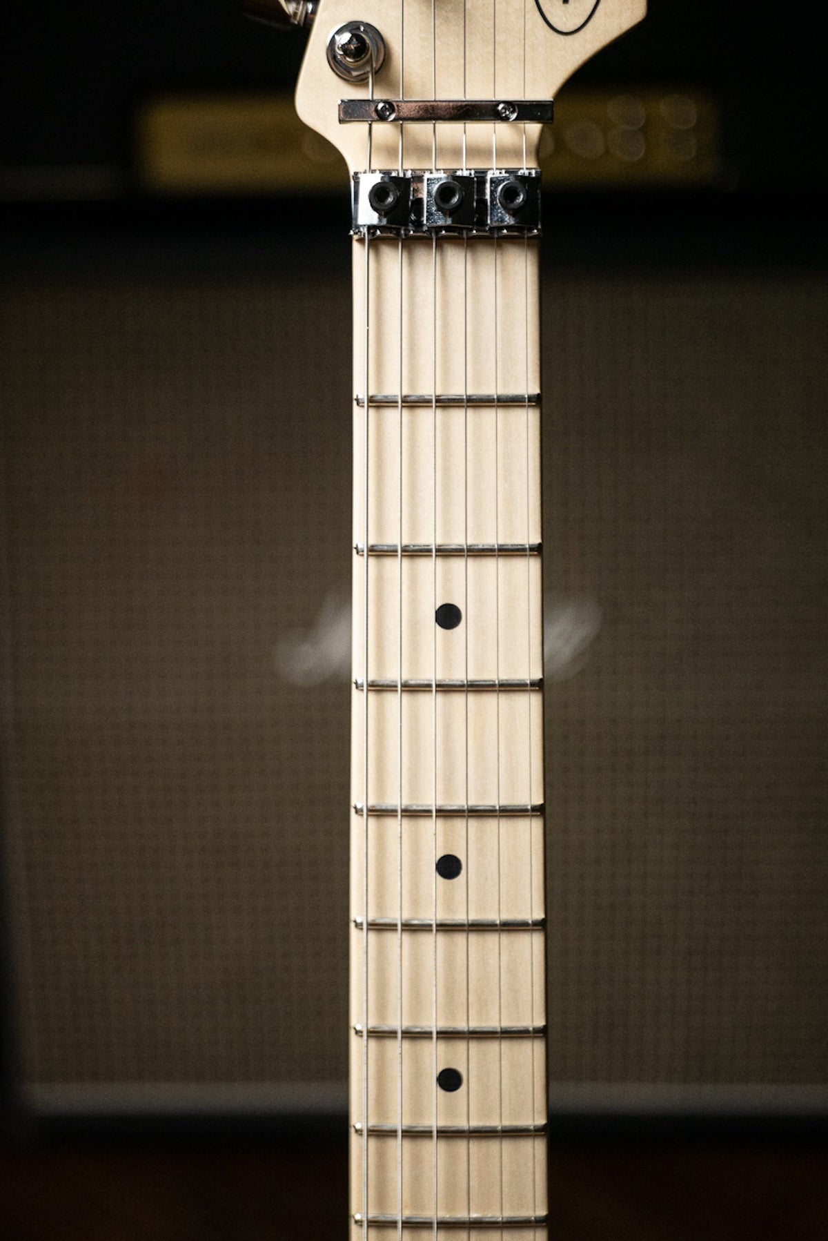 EVH Striped Series Electric Guitar - White and Black