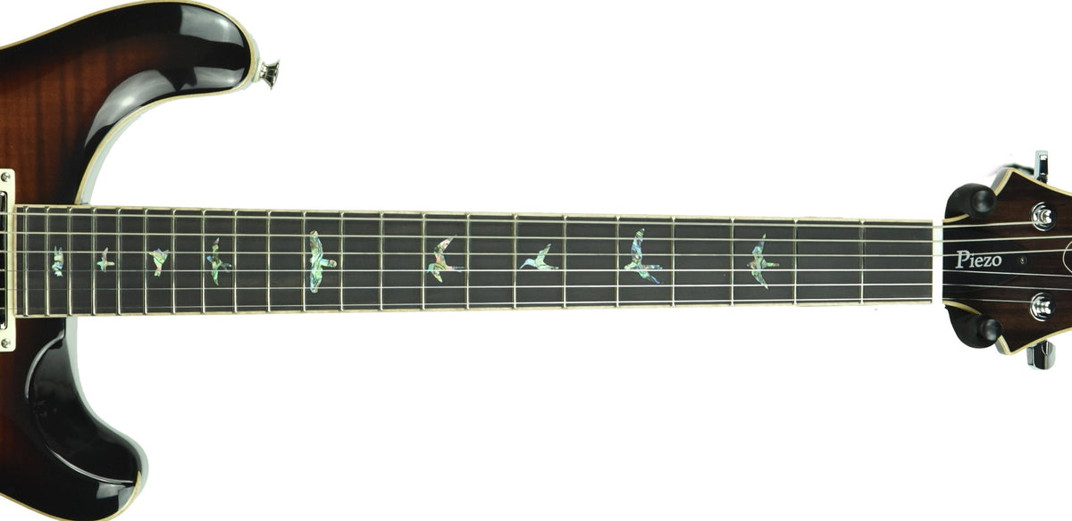 PRS SE Hollowbody II Piezo in Black Gold D01387