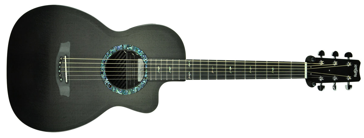Rainsong CO-PA1000NS Acoustic-Electric Guitar 19600