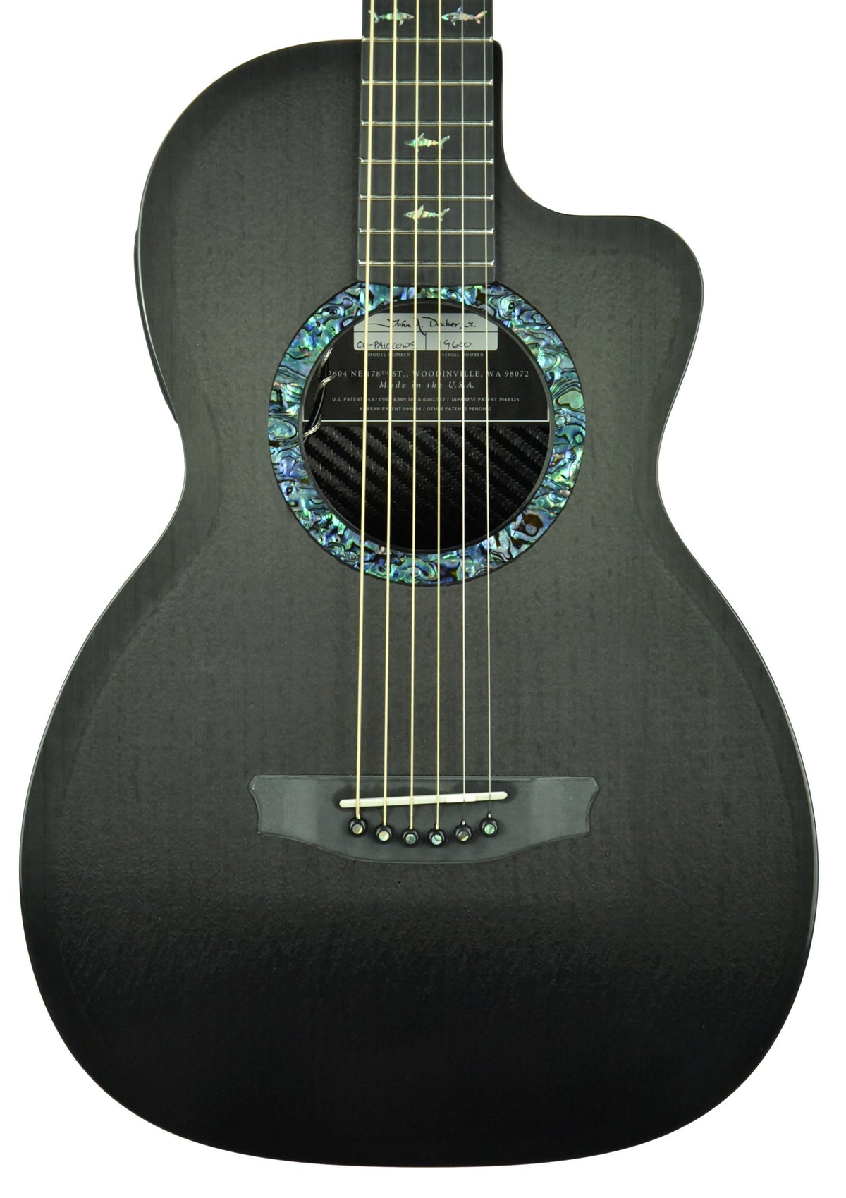 Rainsong CO-PA1000NS Acoustic-Electric Guitar 19600