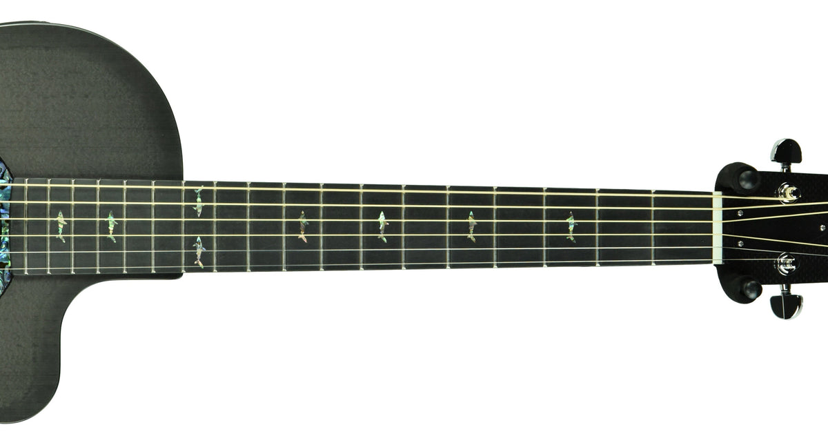 Rainsong CO-PA1000NS Acoustic-Electric Guitar 19600