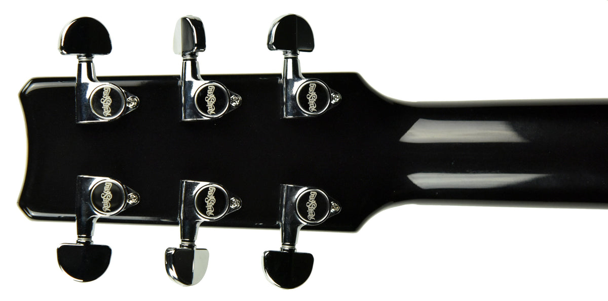 Rainsong BI-WS1000N1 Acoustic-Electric in Black Ice 19930