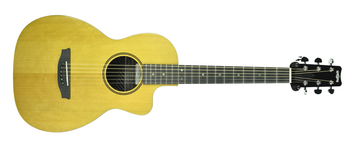Rainsong V-PA1100NS Vintage Series Hybrid Acoustic Guitar 19776
