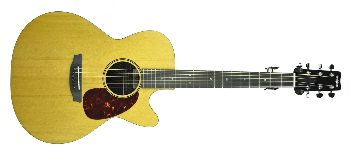 Rainsong V-WS1000N2X Vintage Series Hybrid Acoustic Guitar 19789