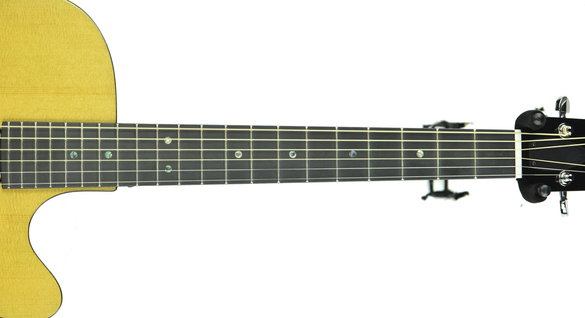 Rainsong V-WS1000N2X Vintage Series Hybrid Acoustic Guitar 19789