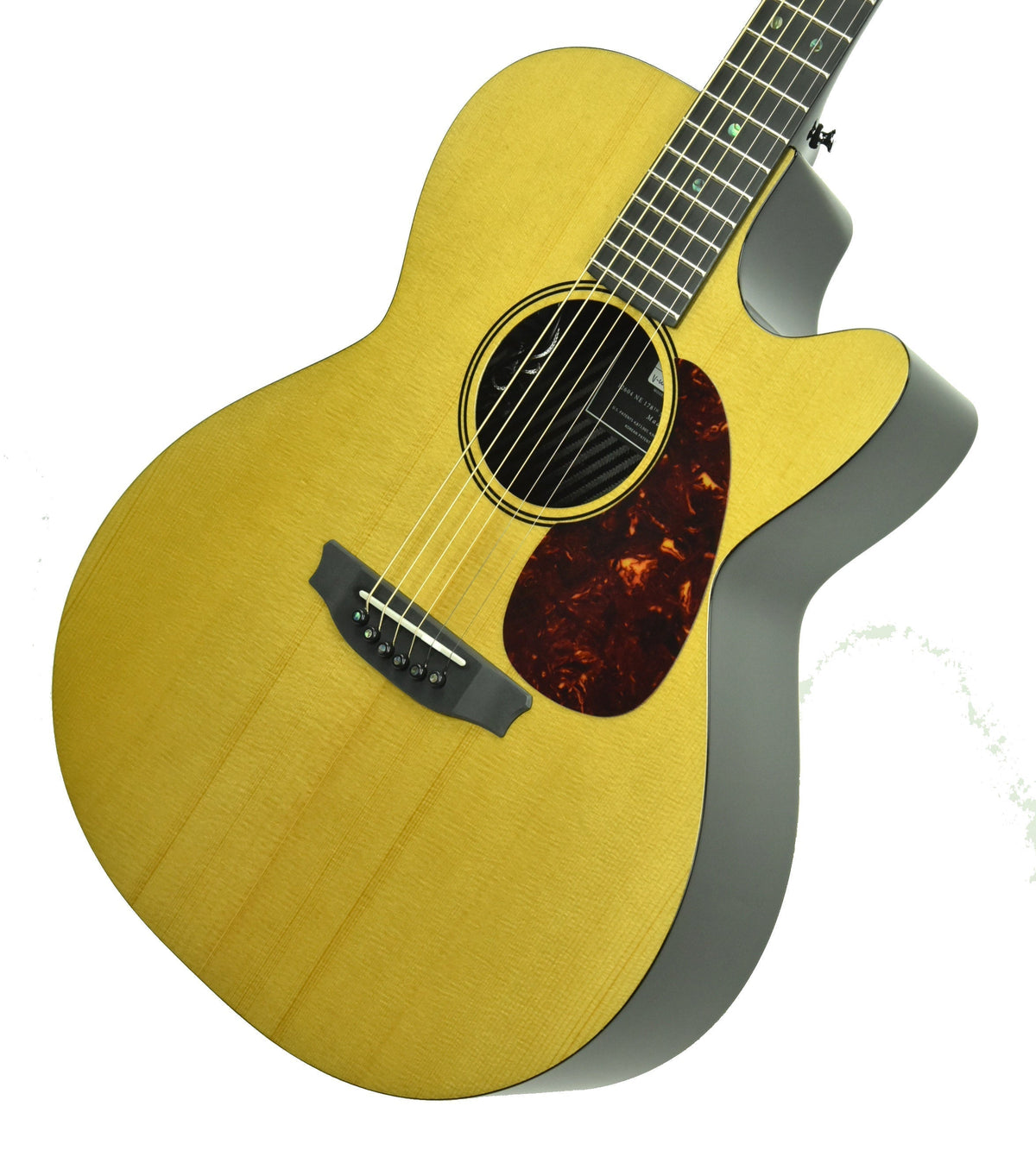 Rainsong V-WS1000N2X Vintage Series Hybrid Acoustic Guitar 19789